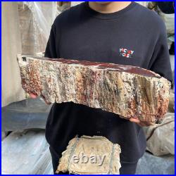 17.8lb Rare Natural petrified wood rough Wood fossil mineral specimen healing 17.8lb Rare Natural petrified wood rough Wood fossil mineral specimen healing