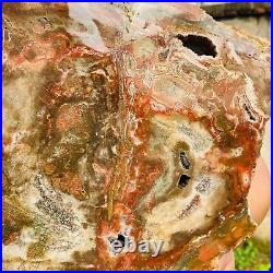 17.90lb Large Natural Petrified Wood Crystal Fossil Slice Shape Specimen Healing