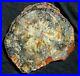 17_Gem_Quality_Fossil_Petrified_Wood_Round_Arizona_Chinle_Blue_Red_Colors_5_01_rr