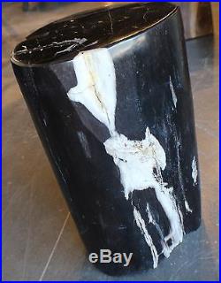 17 H x 11 x 8 petrified wood stool black white full polish hand made 366c
