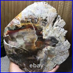 180mm Natural Petrified Wood fossil Rough/Polish Slice Madagascar 1238g A1056