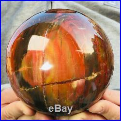 1835g Large Natural Petrified Wood Fossil Crystal Geode Sphere Ball Healing