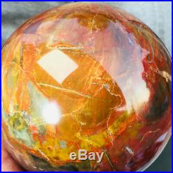 1835g Large Natural Petrified Wood Fossil Crystal Geode Sphere Ball Healing