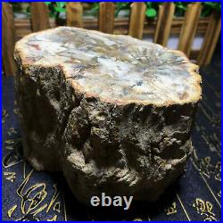 1840g Beautiful Polished Petrified Wood Crystal Slice Madagascar my1357