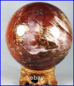 1860g PETRIFIED WOOD FOSSIL AGATE Crystal With Rose Wood Stand From Madagascar