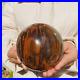 1870g_Large_Petrified_Wood_Sphere_Natural_Rich_Patterns_Specimen_Home_Decor_01_llzq
