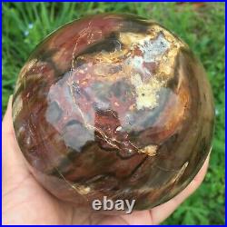 1891g Natural polished petrified wood fossil sphere ball healing 258