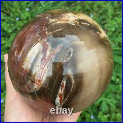1891g Natural polished petrified wood fossil sphere ball healing 258