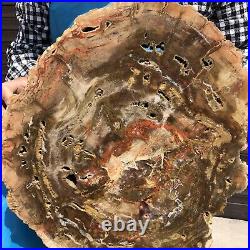 18.04LB Natural Petrified Wood Fossil Crystal Polished Slice- Madagascar