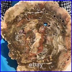 18.04LB Natural Petrified Wood Fossil Crystal Polished Slice- Madagascar