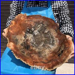 18.1LB Natural Petrified Wood Fossil Crystal Polished Slice Madagascar 17