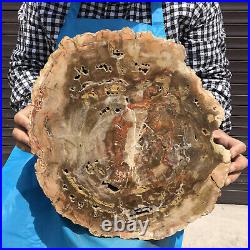 18.28LB Natural Petrified Wood Fossil Crystal Polished Slice Madagascar 21