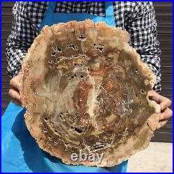 18.28LB Natural Petrified Wood Fossil Crystal Polished Slice Madagascar 2592