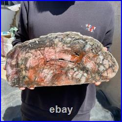 18.3LB Natural petrified wood rough Wood fossil mineral specimen healing energy 18.3LB Natural petrified wood rough Wood fossil mineral specimen healing energy