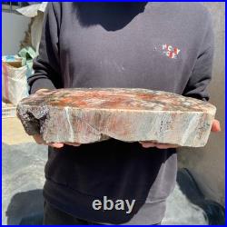 18.3LB Natural petrified wood rough Wood fossil mineral specimen healing energy 18.3LB Natural petrified wood rough Wood fossil mineral specimen healing energy