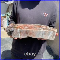 18.3LB Natural petrified wood rough Wood fossil mineral specimen healing energy 18.3LB Natural petrified wood rough Wood fossil mineral specimen healing energy