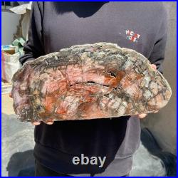 18.3LB Natural petrified wood rough Wood fossil mineral specimen healing energy 18.3LB Natural petrified wood rough Wood fossil mineral specimen healing energy