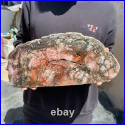18.3LB Natural petrified wood rough Wood fossil mineral specimen healing energy 18.3LB Natural petrified wood rough Wood fossil mineral specimen healing energy