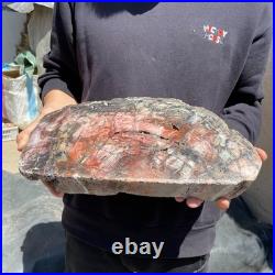 18.3LB Natural petrified wood rough Wood fossil mineral specimen healing energy 18.3LB Natural petrified wood rough Wood fossil mineral specimen healing energy
