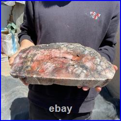18.3LB Natural petrified wood rough Wood fossil mineral specimen healing energy 18.3LB Natural petrified wood rough Wood fossil mineral specimen healing energy