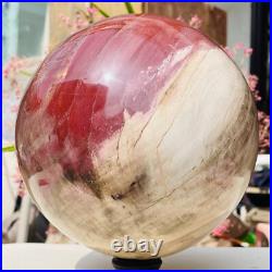18.40lb Large Natural Petrified Wood Fossil Quartz Crystal Sphere Ball Healing 18.40lb Large Natural Petrified Wood Fossil Quartz Crystal Sphere Ball Healing