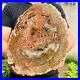 18_45lb_Large_Block_Natural_Petrified_Wood_Crystal_Fossil_Slice_Shape_Specimen_01_ooar