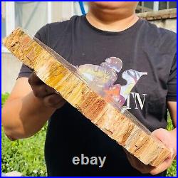 18.45lb Large Natural Petrified Wood Crystal Fossil Slice Shape Specimen Healing