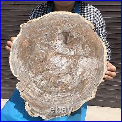 18.56LB Natural petrified wood fossil crystal polished Madagascar