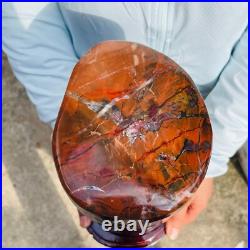 18.80lb Natural Petrified Wood Polished Stone Crystal Mineral Specimen+stand 18.80lb Natural Petrified Wood Polished Stone Crystal Mineral Specimen+stand