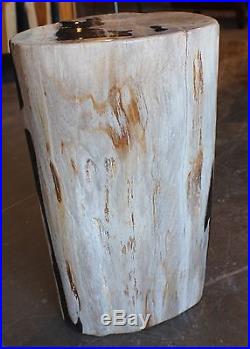 18 H x 11 x 9 petrified wood stool white black brown yellow full polish 366a