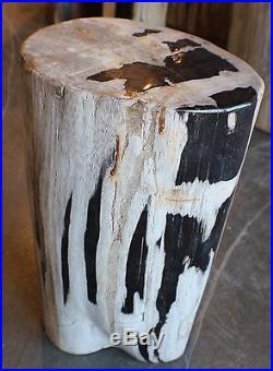 18 H x 11 x 9 petrified wood stool white black brown yellow full polish 366a