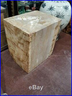 18 h rectangular Petrified stool beige cream color unique piece side table