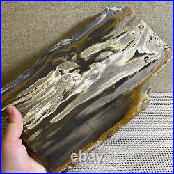 1917g Beautiful Polished Petrified Wood Crystal Slice Madagascar g12