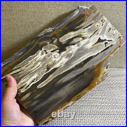 1917g Beautiful Polished Petrified Wood Crystal Slice Madagascar g12