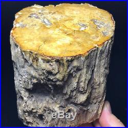 1957G Natural Petrified Wood Fossil Crystal Polished Slice Madagascar A11129