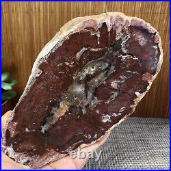 195MM Natural Petrified Wood Fossil Crystal Rough Slice From Madagascar A1534