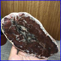 195MM Natural Petrified Wood Fossil Crystal Rough Slice From Madagascar A1534