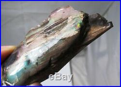 195 ct Opalized wood fossil Virgin Valley opal Miocene Denio, NV fossil