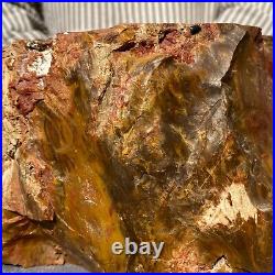 19800g Huge Stumps Petrified Wood Fossilized Agatized Display Rough Specimen