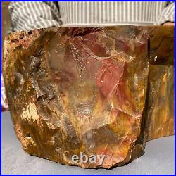 19800g Huge Stumps Petrified Wood Fossilized Agatized Display Rough Specimen