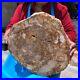 19_14LB_Natural_Petrified_Wood_Fossil_Crystal_Polished_Slice_Madagascar_1120_01_ude