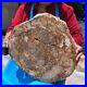 19_14LB_Natural_petrified_wood_fossil_crystal_polished_slice_Madagascar_1120_01_pgkm