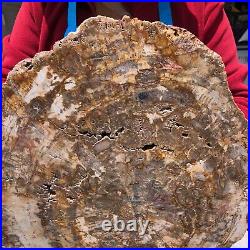 19.14LB Natural petrified wood fossil crystal polished slice Madagascar 1120