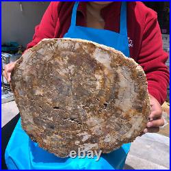 19.14lb Natural Petrified Wood Fossil Crystal Polished Slice