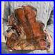 19_3lb_Rare_Natural_petrified_wood_rough_Wood_fossil_mineral_specimen_healing_01_hcn