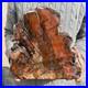 19_3lb_Rare_Natural_petrified_wood_rough_Wood_fossil_mineral_specimen_healing_01_jbs