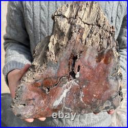 19.3lb Rare Natural petrified wood rough Wood fossil mineral specimen healing 19.3lb Rare Natural petrified wood rough Wood fossil mineral specimen healing
