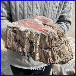 19.3lb Rare Natural petrified wood rough Wood fossil mineral specimen healing 19.3lb Rare Natural petrified wood rough Wood fossil mineral specimen healing