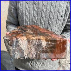 19.3lb Rare Natural petrified wood rough Wood fossil mineral specimen healing 19.3lb Rare Natural petrified wood rough Wood fossil mineral specimen healing