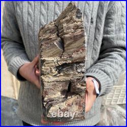 19.3lb Rare Natural petrified wood rough Wood fossil mineral specimen healing 19.3lb Rare Natural petrified wood rough Wood fossil mineral specimen healing